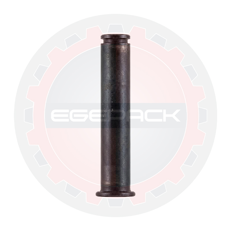 Pin shaft