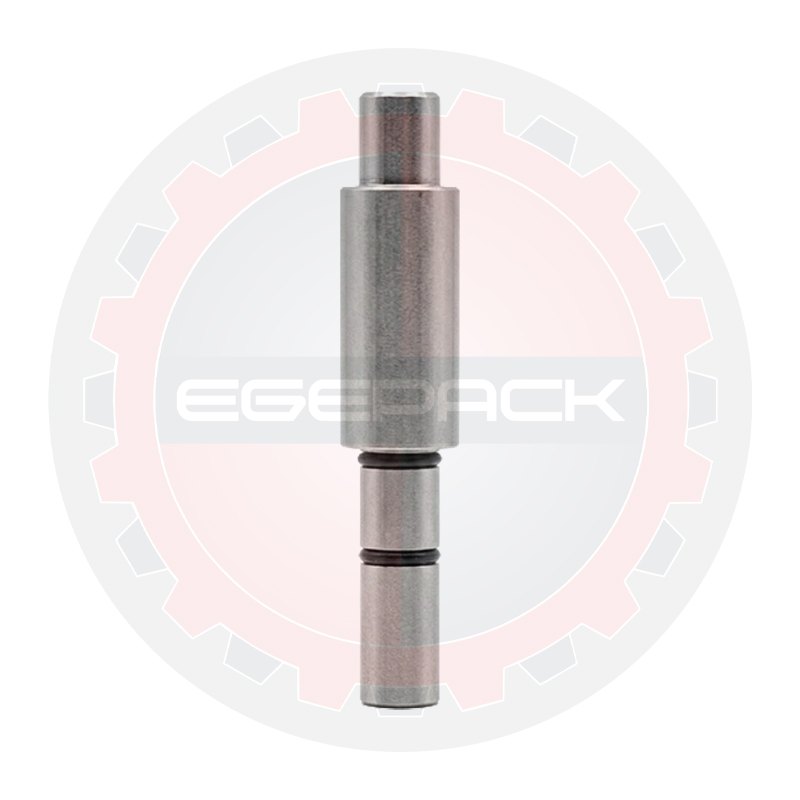Eccentric shaft (1.1)